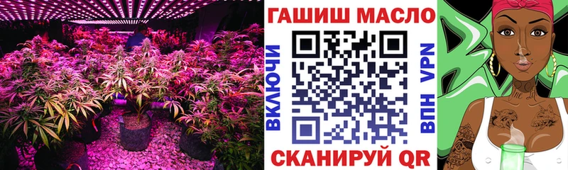 ссылка на мегу ССЫЛКА Апшеронск Дистиллят ТГК жижа