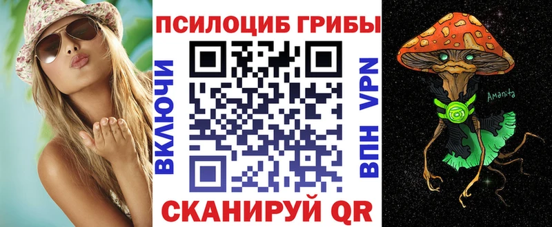 Псилоцибиновые грибы Cubensis  Апшеронск 